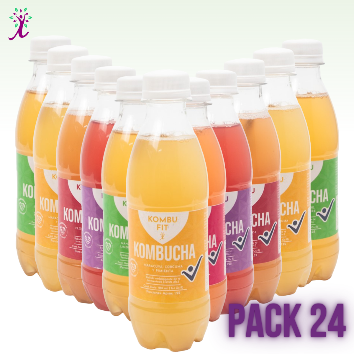 Kombucha la mejor, sabores con propósito