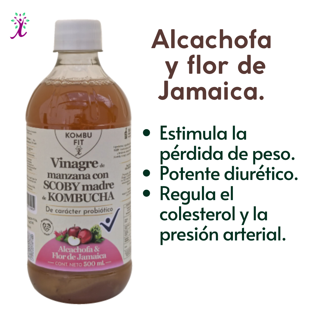 Vinagre de sidra de manzana con SCOBY madre, alcachofa y flor de jamaica