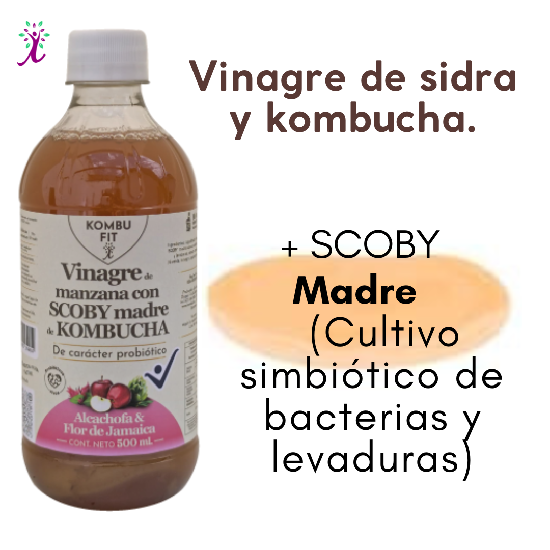Vinagre de sidra de manzana con SCOBY madre, alcachofa y flor de jamaica